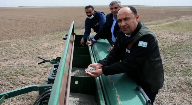 Bozkırın tarlaları alternatif ürün ”çörekotu” ile bereketleniyor