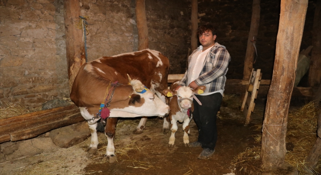 Öğretmeninin ”Öksüzün bir ineği olmasın mı?” paylaşımı, gencin hayalini gerçekleştirdi