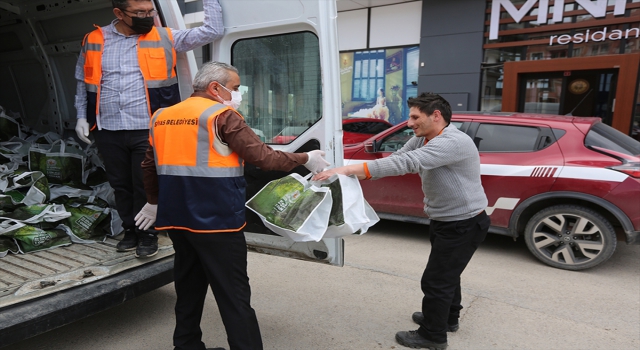 Sivas’ta 58 bin aile evde fidan yetiştirerek belediyenin aile ormanında toprakla buluşturacak