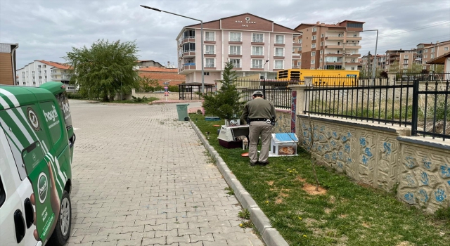 Kırşehir’de polis ekipleri sokak hayvanlarına mama, süt ve su bıraktı