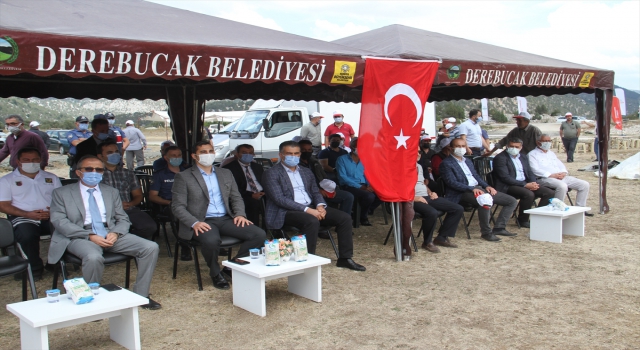 Konya’da kuru fasulye hasat şenliği