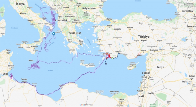 Uydu takibindeki ”Caretta Tuba” iki yılda 7 ülkeye uğradı, 12 bin kilometre yol yaptı