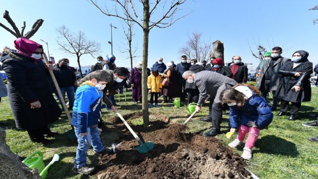 Üsküdar'da yeni ağaçlar dikildi