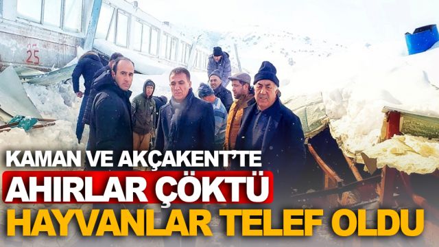 AHIRLAR ÇÖKTÜ HAYVANLAR TELEF OLDU