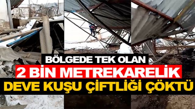 2BİN METREKARELİK DEVE KUŞU ÇİFTLİĞİ ÇÖKTÜ