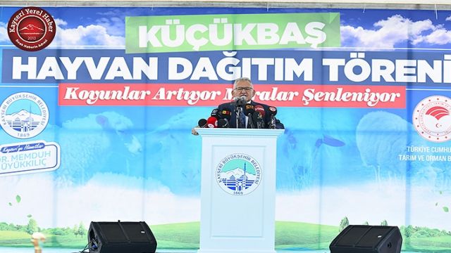 Kayseri Büyükşehir Belediyesi bu yıl 3 bin 200 küçükbaş hayvan dağıtacak