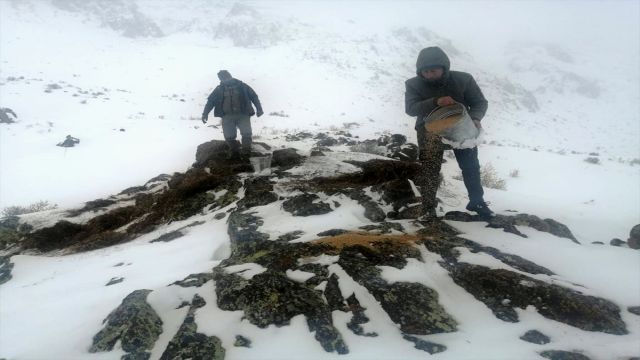 Kayseri'de pazar artığı sebzeler yaban hayvanları için doğaya bırakıldı