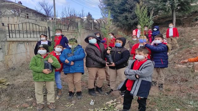 Nallıhan'da Orman Haftası kapsamında fidan dikildi