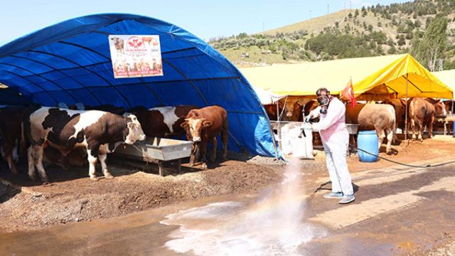 Çankaya Belediyesinde Kurban Bayramı Hazırlığı