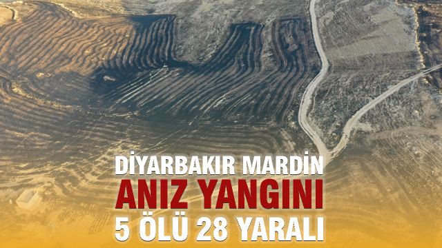 Diyarbakır ve Mardin Arasında Anız Yangını: 5 Ölü, 28 Yaralı