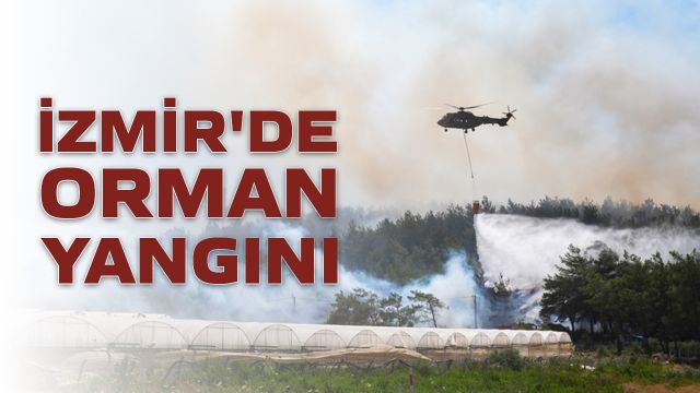 İzmir'de Orman Yangını