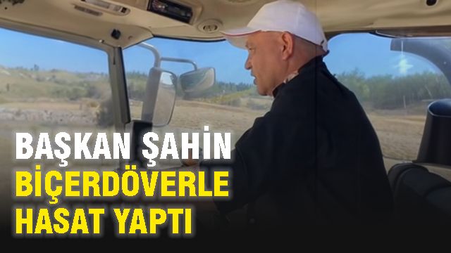 Başkan Şahin, Biçerdöverle Hasat Yaptı