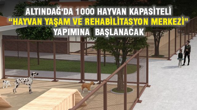 Altındağ Belediyesi'nden Hayvan Refahına Büyük Adım: 1000 Kapasiteli Rehabilitasyon Merkezi Yolda