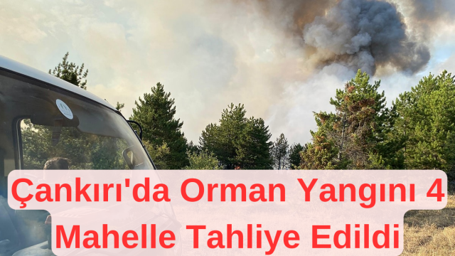 Çankırı'da Orman Yangını 4 Mahalle Tahliye Edildi