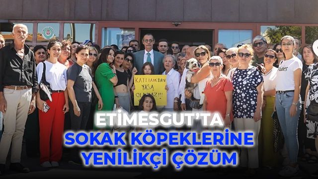 Etimesgut Belediye Başkanı Erdal Beşikçioğlu’ndan Sokak Köpeklerine Yenilikçi Çözüm