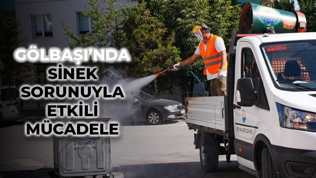 Gölbaşı'nda Sinek Sorununa Karşı Etkili Mücadele: Çöp Konteynerleri İlaçlandı