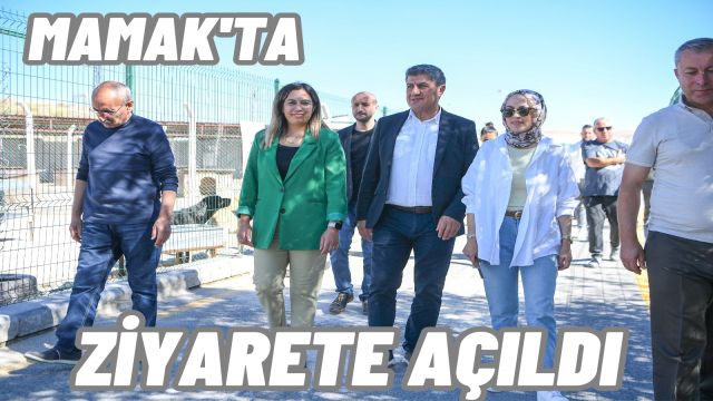 Mamak Sokak Hayvanları Rehabilitasyon Merkezi ve Geçici Bakımevi Ziyarete Açıldı