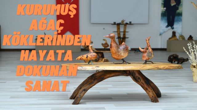 Kurumuş Ağaç Köklerinden Sanat Eseri: Rıza Kara'nın Eserleri Sergileniyor