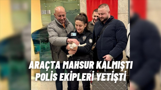 Araçta Mahsur Kalan Kedi Polis Ekipleri Tarafından Kurtarıldı