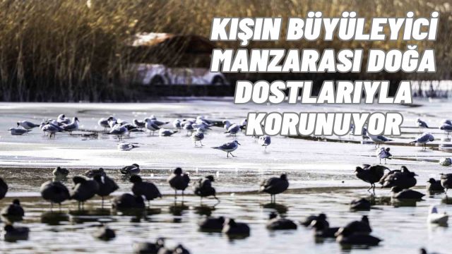 Mogan Gölü’nün Kıyıları Buzla Kaplandı