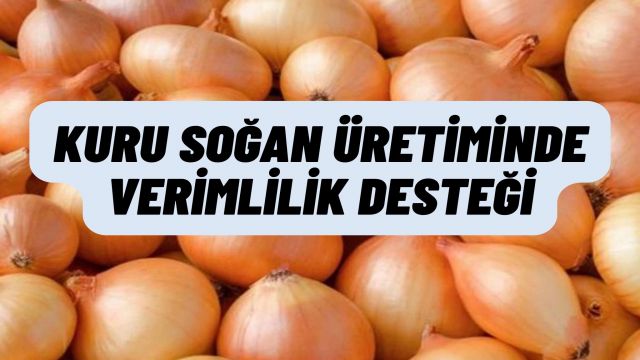 Polatlı’da Kuru Soğan Üretiminde İhracat Odaklı Teknik Destek Başladı