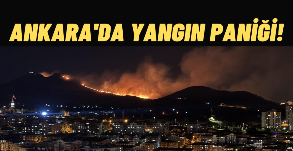 Mamak’ta Ağaçlık aAanda Yangın Paniği! 1 Kişi Gözaltında, Ekipler Seferber Oldu
