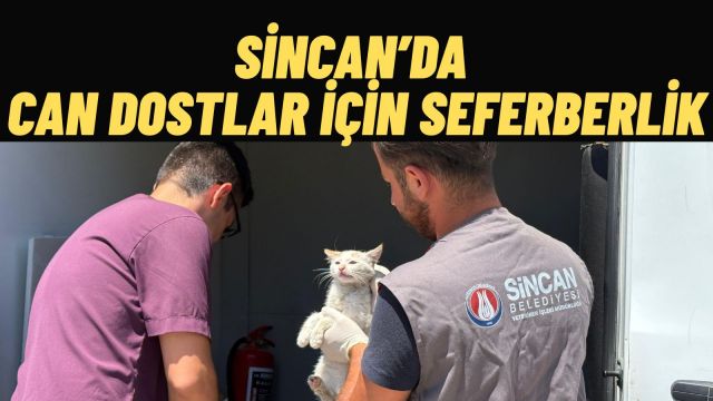 Sincan Belediyesi’nden Sahipsiz Hayvanlara Kapsamlı Bakım ve Rehabilitasyon Hizmeti