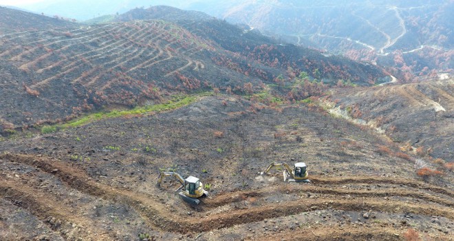 Hatay'daki yangının izlerini silmek için hummalı çalışma